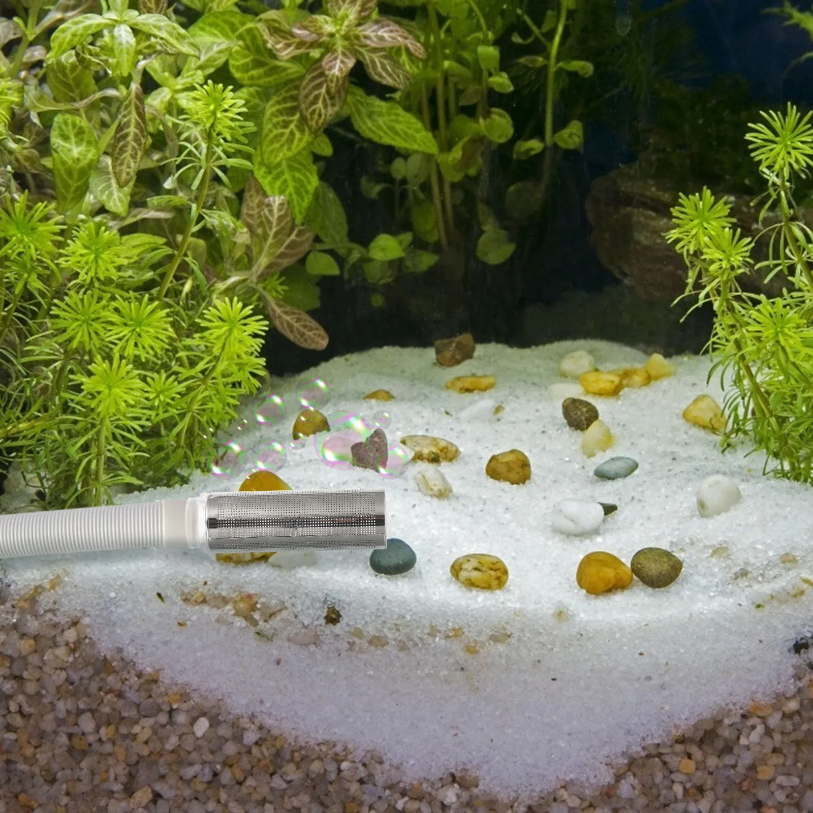 

1Pcs Fish Tank Protective Cover Premium Stainless Steel and Acrylic Aquarium Filter Mesh Cover Intake Filter Protector