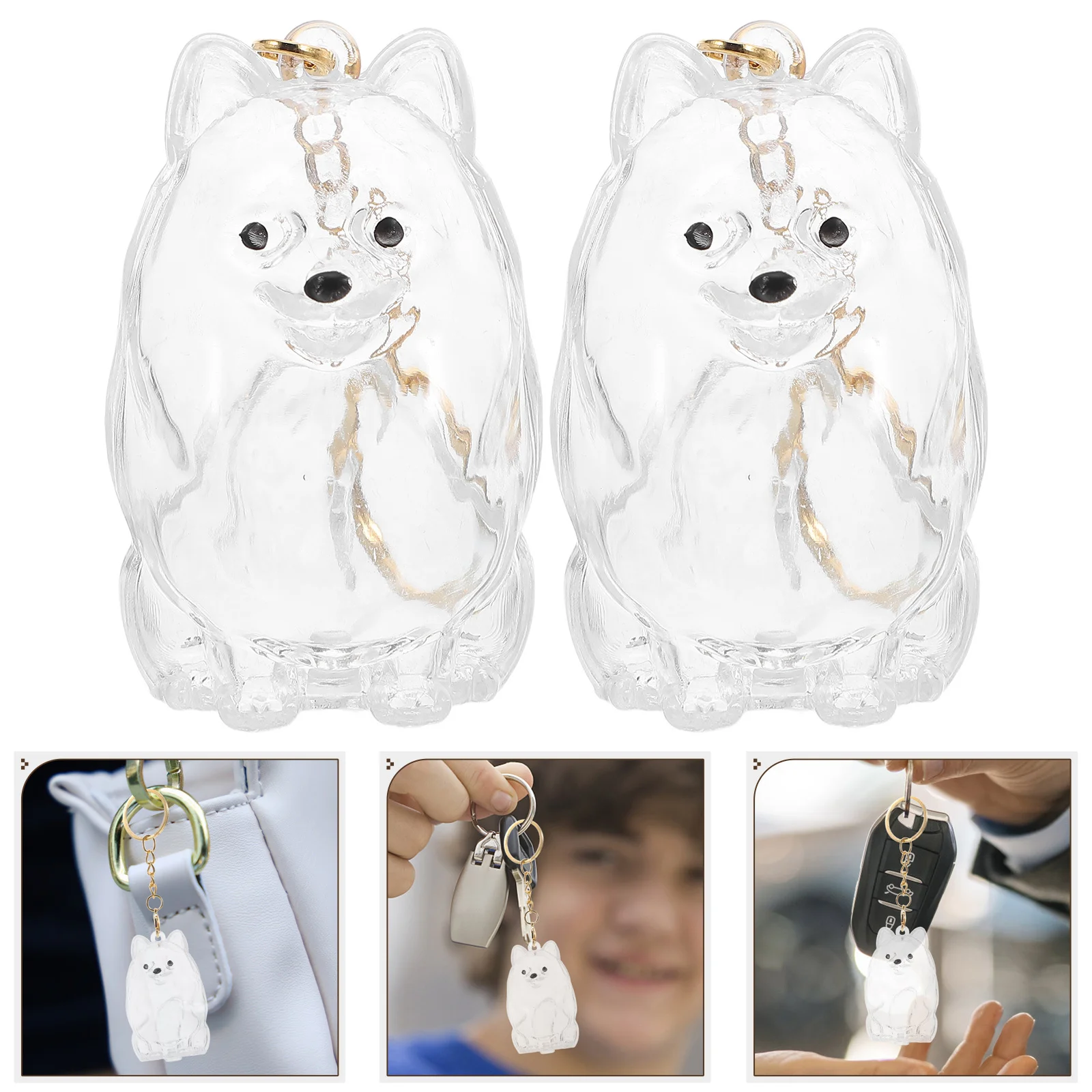 

2pcs Collector Key Chain Transparent Dog Keychain Storage Bottle Pomeranian Memorial Keepsake Clear Plastic Pet Hair Holder