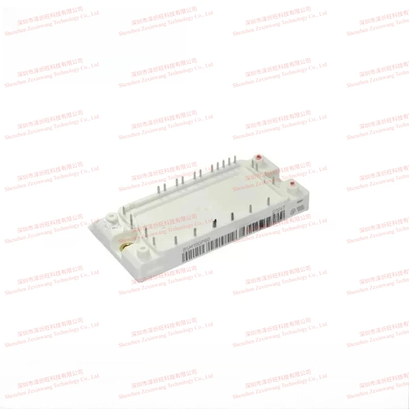 BSM10GP60 BSM15GP60 BSM20GP60 BSM30GP60 BSM50GP60 BSM75GP60 BSM100GP60 Power Module