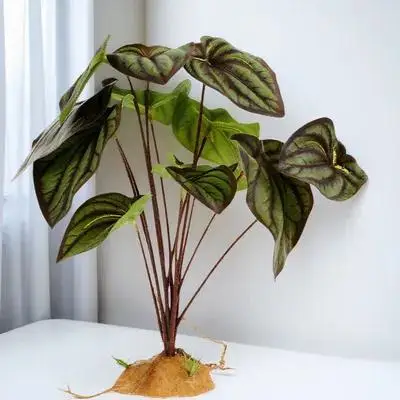 

Artificial Reptile Plants Terrarium Decor For Bearded Dragon Habitat Aquarium Fake Plant Ornament Reptile Supplies