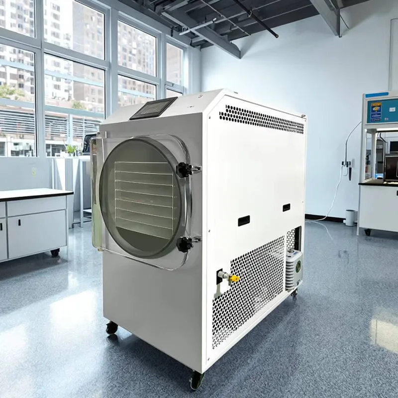 Industrial Dried Fruit Vegetables 30KG Equipment Drying Machine Freeze Dryer For Sale