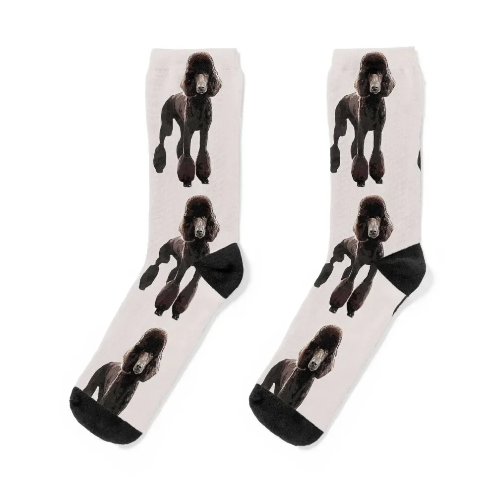 

Poodle Black Elegance Socks Run Sports set compression Socks Girl Men's
