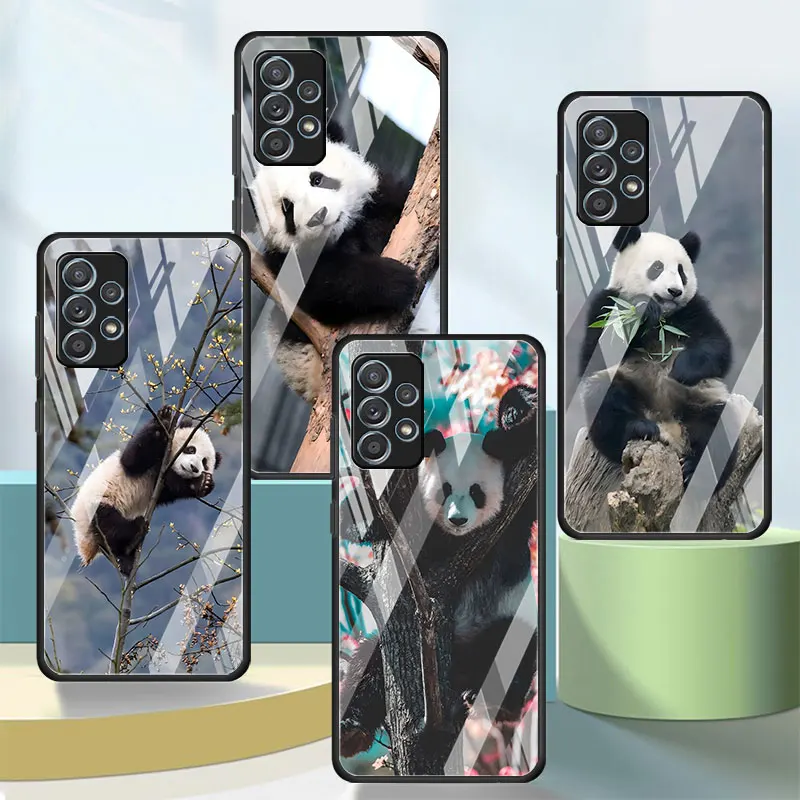 Chinese Bear Panda Case For Samsung A16 A27 A54 A34 A12 A14 A33 A15 A21s A53 A55 A35 A51 A11 A22 A31 Tempered Glass Phone Cover