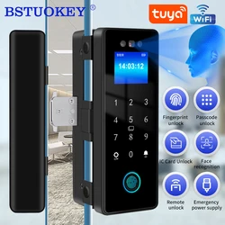 3D Face Tuya Wifi Electronic Smart Glass Door Lock With Biometric Fingerprint/RFID Card /Password Unlock/USB Emergency Charge