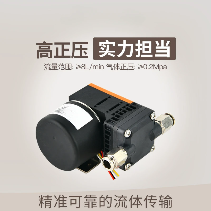 Positive pressure speed control vacuum  8L air pump DC brushless sampling ature circulating pump