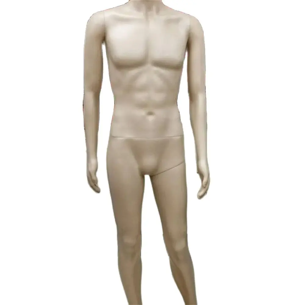 Full Plastic Torso Mannequin for Display, Male Mannequin, Jewelry, Clothes, Realist Body, Sewing, B260, 183cm