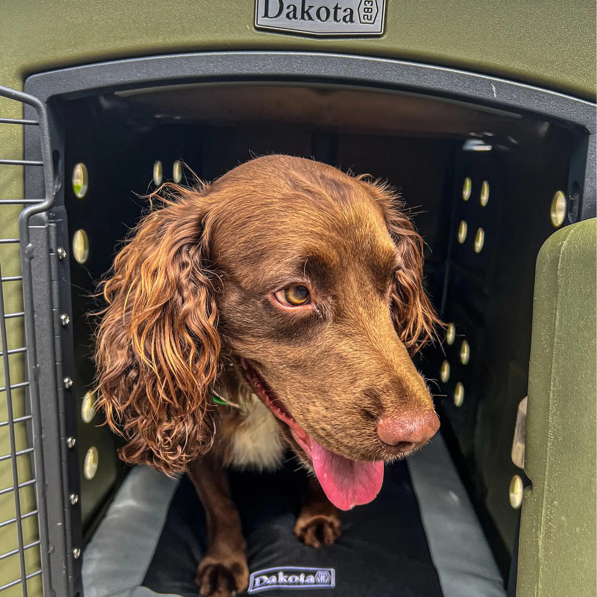 G3 Portable High-Security Fed Dog Kennel, Olive - M