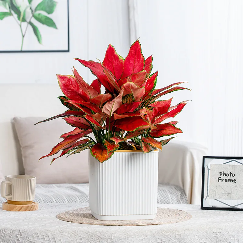 الشمال نمط عمودي شريط مربع الذاتي سقي كسول زارع البلاستيك الراتنج سميكة داخلي شرفة وعاء النباتات الخضراء