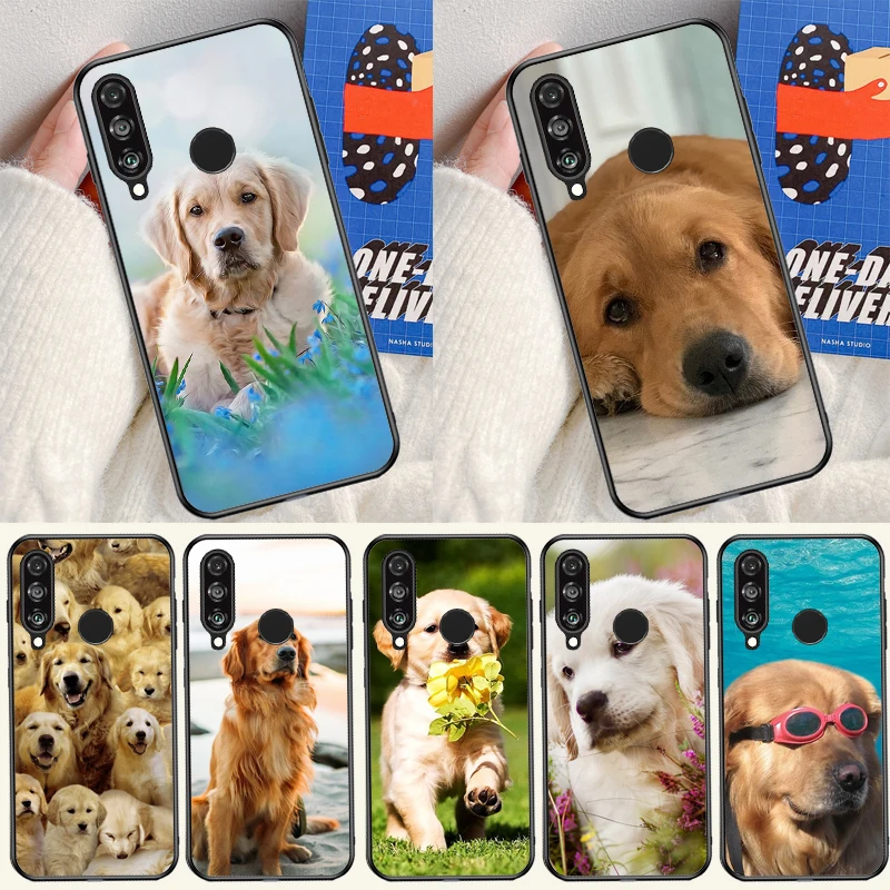 Golden Retriever Do… - image