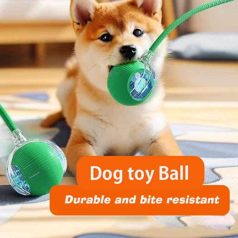 Thumbnail 3 - #57 New Puppy Balls Arrivals