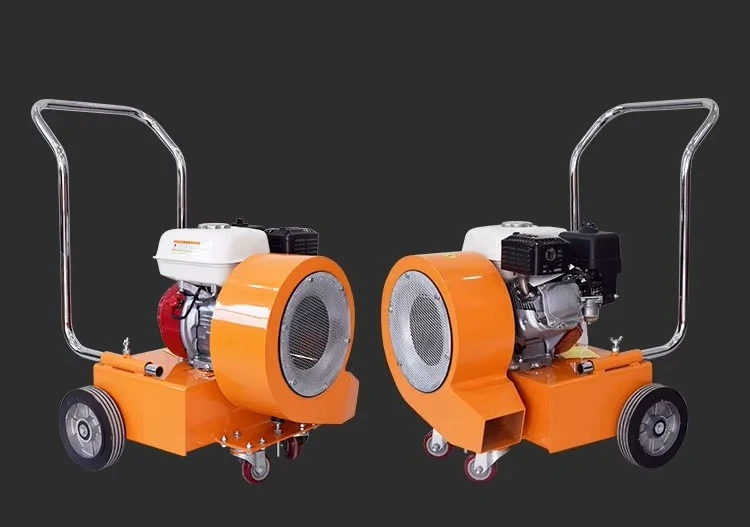 Imagen 6: Sopladores de Polvo para Carreteras Grandes, Manuales, de 5.5 Caballos de Fuerza