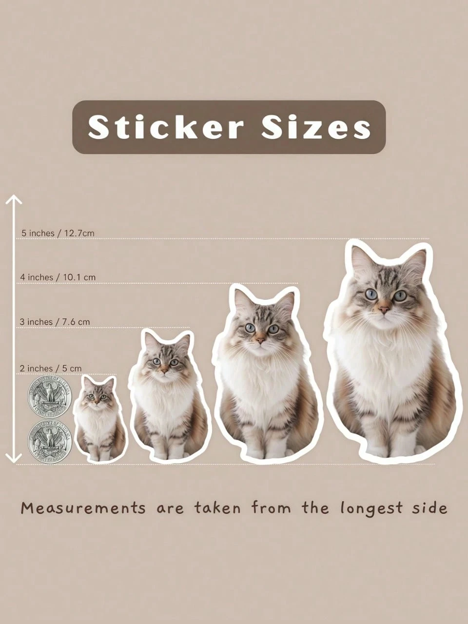 5-12.7CM Personalized Pet Photo Stickers, Cute Pet Decoration Stickers, Pet Face Stickers, Custom Portrait Stickers
