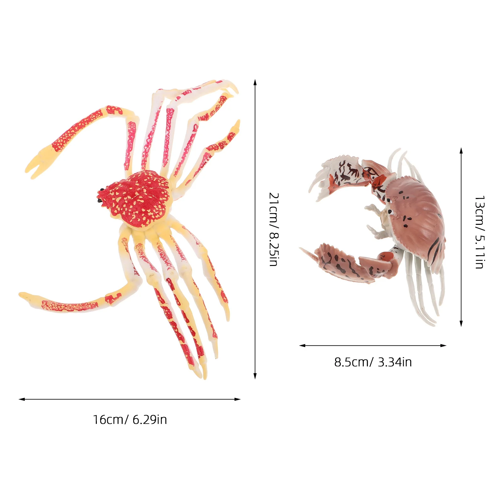 قطعتان من محاكاة سرطان البحر البلاستيكي الواقعي لتزيين الحيوانات التعلم المبكر سرطان البحر الصغير للأطفال الصغار التعليمي المعرفي