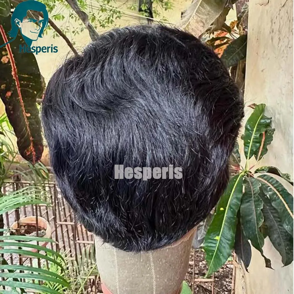 Hesperis Pre-Styled Male Wig Full Lace Transparent Hairpiece for Men Remy Human Hair Sgort Cut Wig Full Lace Human Hair Wigs