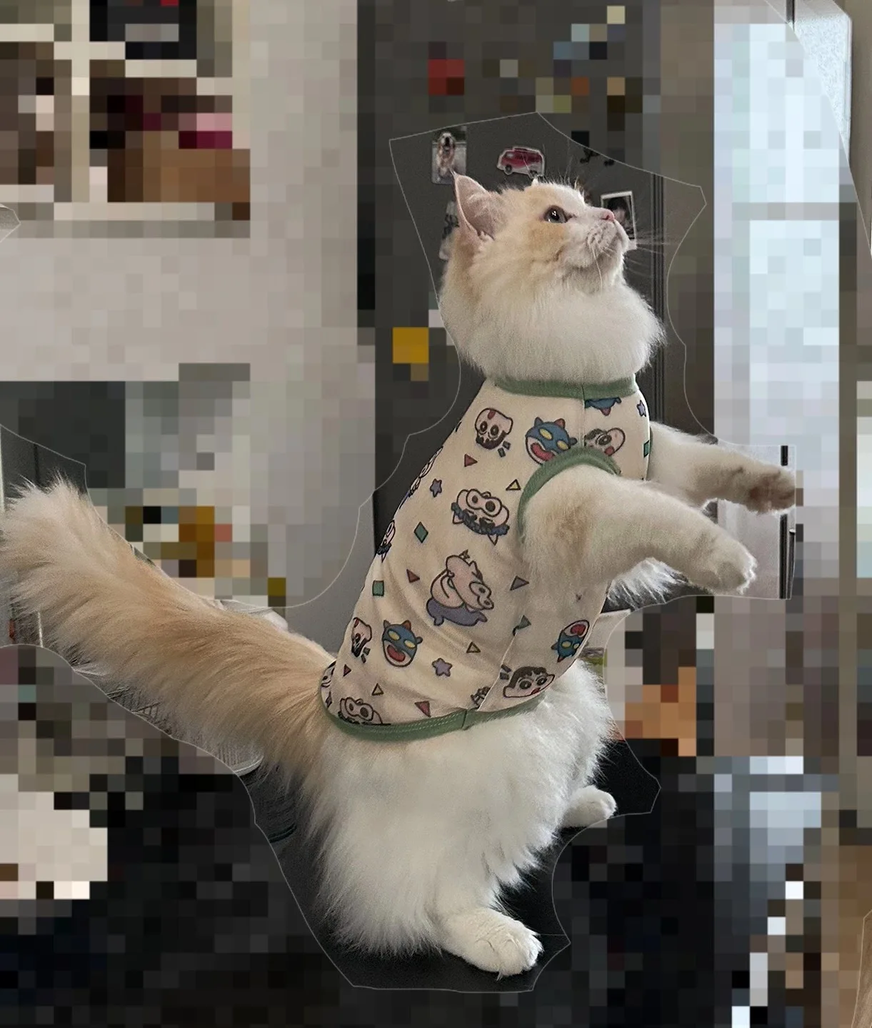 Ropa para mascotas de primavera y verano, ropa bonita para