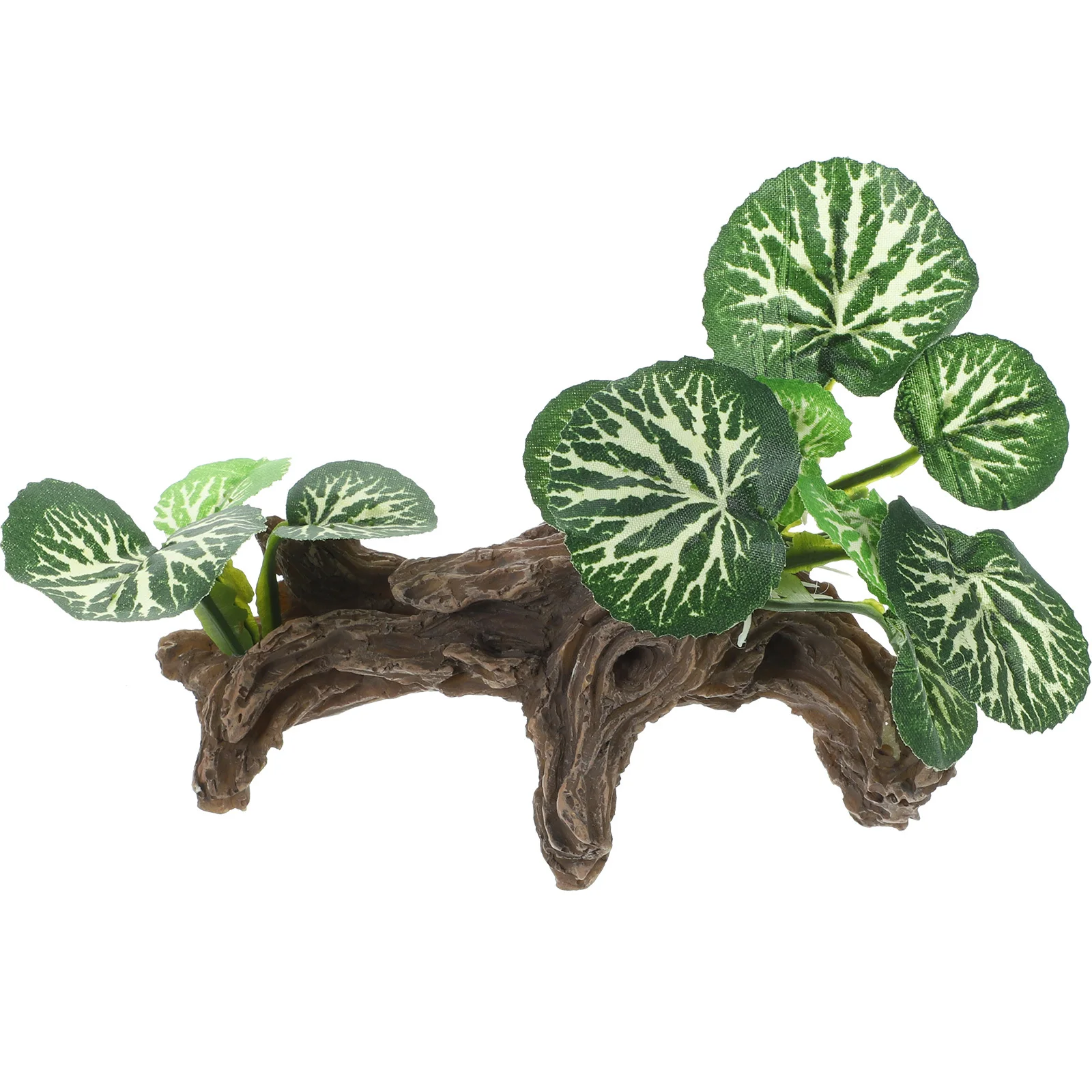 

Vivid Simulation Reptile Plant Decoration Natural Resting Place Aquarium Landscaping Reptile Terrarium Plant Terrarium Plants