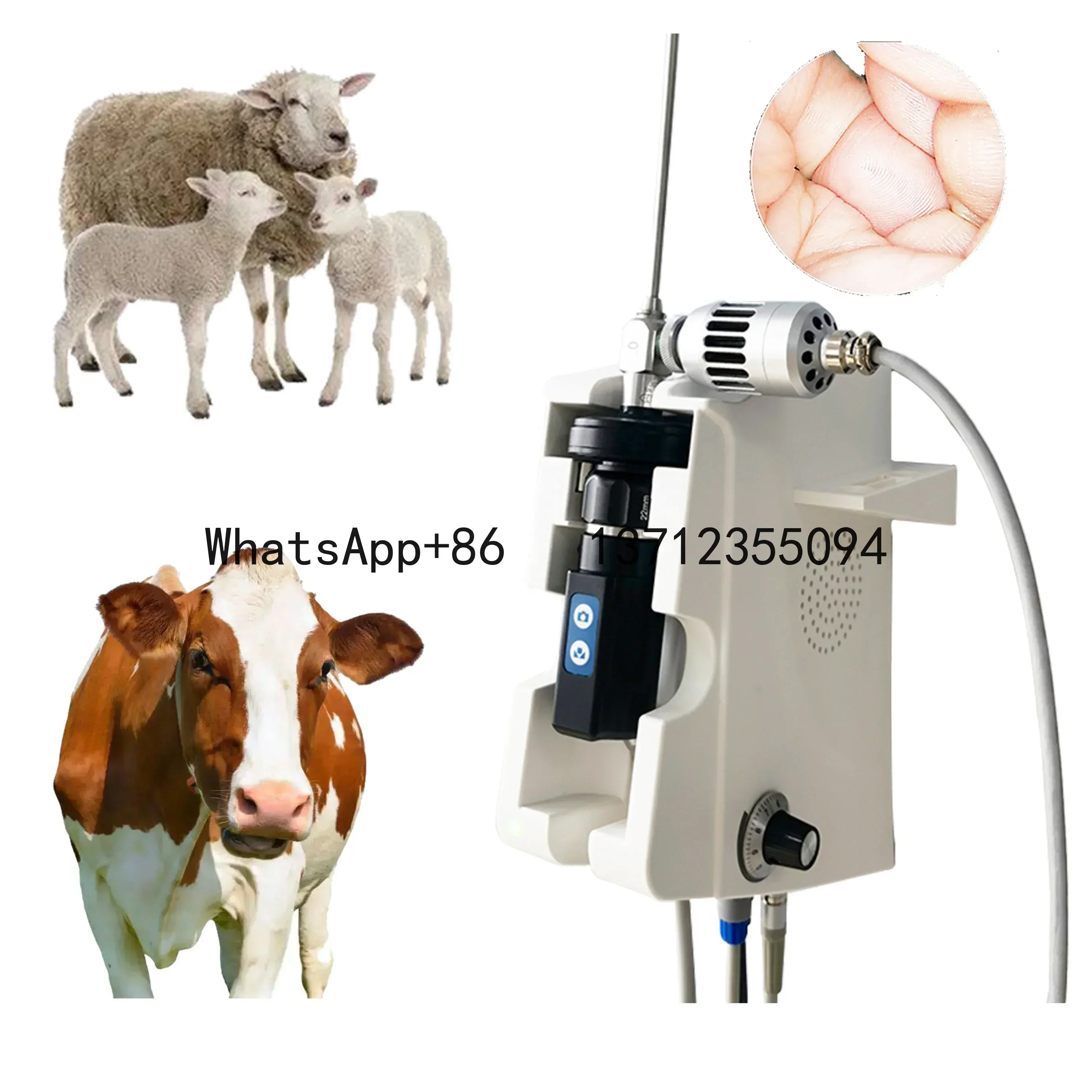 

Flexible Endoscope System With LED For Pet Clinic Hospital Animal Endoscope Ent Endoscopy Equipment Medical
