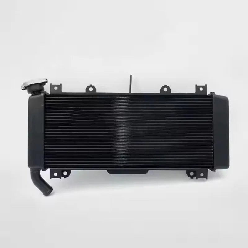 Factory High Quality Motorcycle Parts Fe350 Radiator Aluminium Radiator Guards