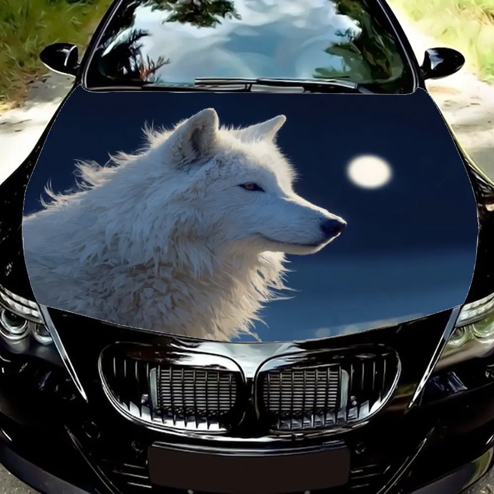 

White wolf gazing under the moonlight Car Hood - Self-Adhesive, Waterproof & Scratch-Resistant Sticker , Perfect For Vehicle Cus