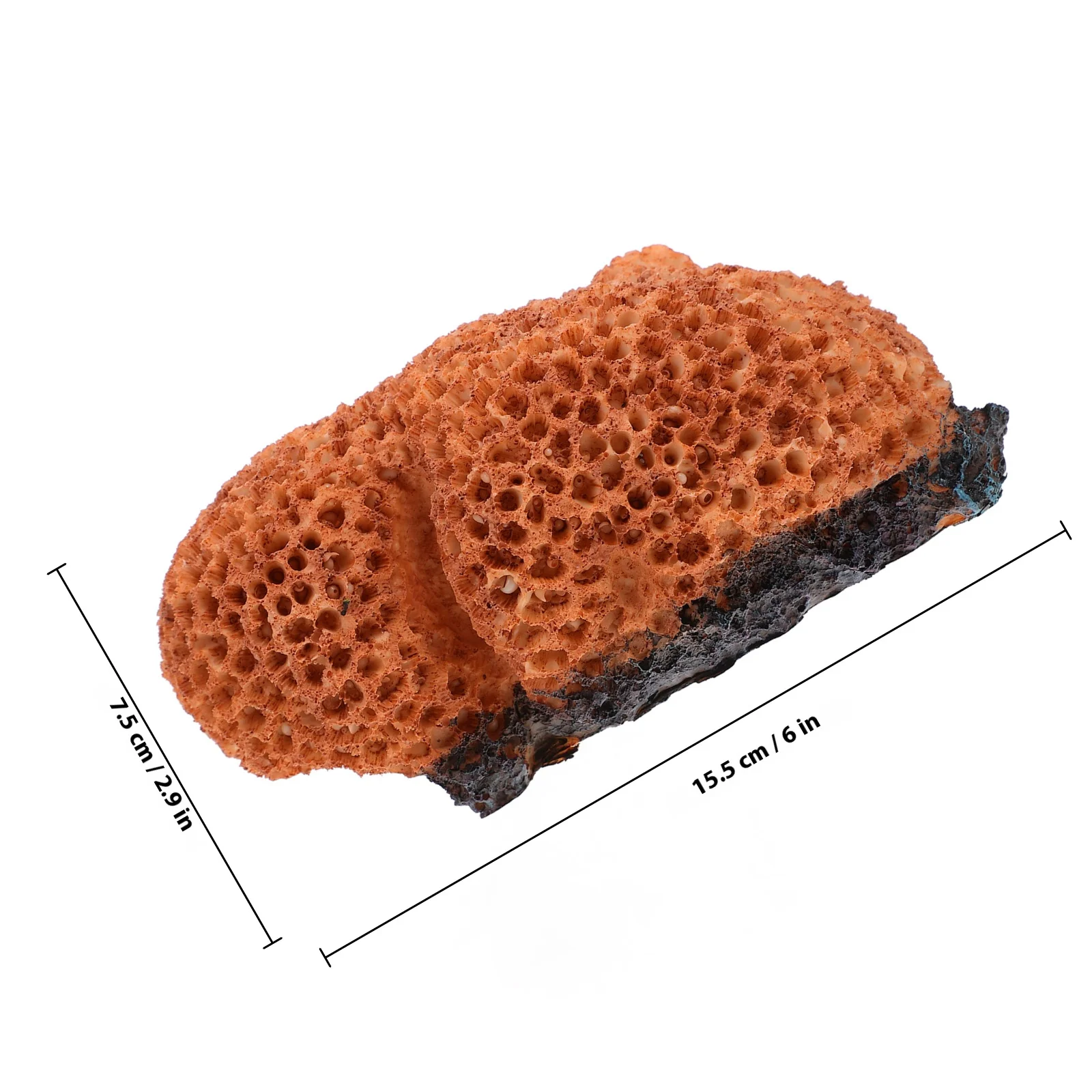 Lifelike Aquarium Coral Decorations Variety of Choices Durable and Longlasting Fish Tank Landscape Decor Fish Tank Decor Mini