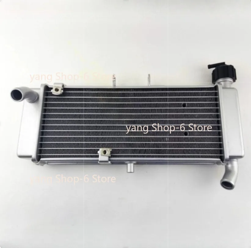 Motorcycle Engine Parts Water Cooler Radiator For FB Mondial HPS 125 300 HPS125 HPS300