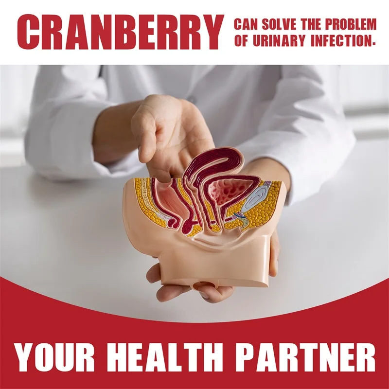 Cranberry - Supports Kidney Bladder Urinary Tract Health, Bladder Control, Antioxidant Rich Vitamin C