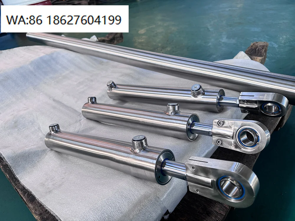 316L Stainless Seawater Proof Cylinder | Full Anti-Chloride Double Acting Hydraulic Spare For Custom Marine Construction Equipme