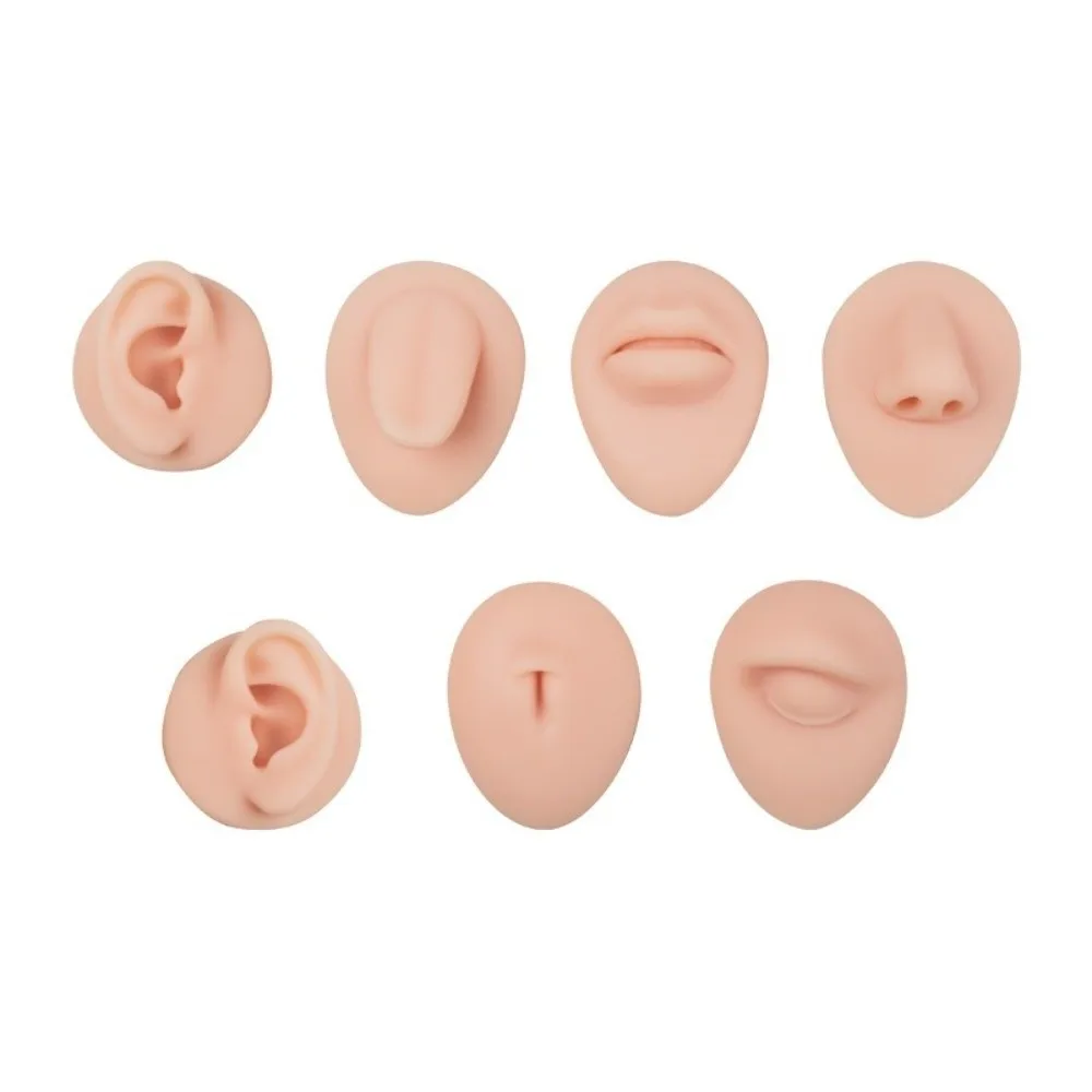Simulation Design Body Piercing Practice Model Human Face Features Multiple Body Parts Jewelry Display Model Flexible Silicone