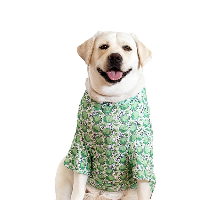 

Одежда для больших собак, летняя сетчатая футболка для домашних животных, шнауцер, самоедский бордер-коллли, хаски, лабрадор, золотистый ретривер, одежда, костюмы