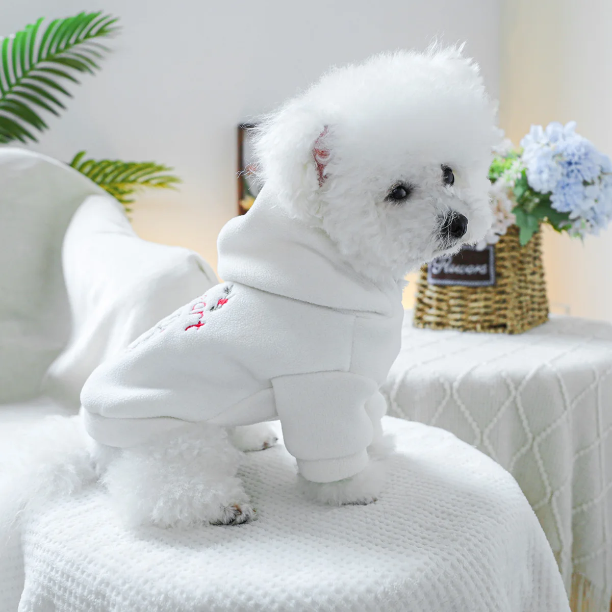 1PC Pet Clothing Spring and Autumn Thick Velvet White Sweetheart Hoodie Hat Coat Suitable for Small and Medium sized Dogs