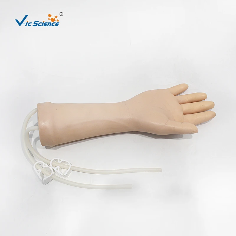 Medical Advanced IV Training Hand  Model Without Set