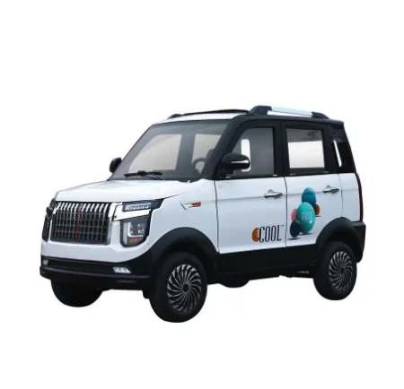 

High Quality Customized Mini Electric Car Hot Sale 25km Small EV Vehicle Price