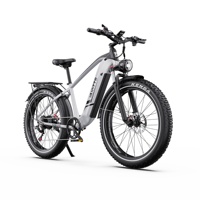 DUOTTS F26 Lite Adult Electric Bike 500W Motors 48V18AH Battery Electric Bicycle 26 Inch Fat Tire Ebike All Terrain E-Bike