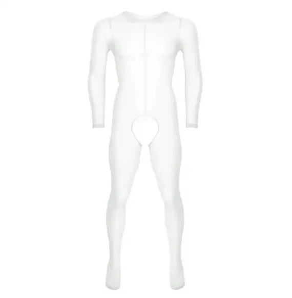 Mens Jumpsuit See Through Bodysuit Sheer Long Sleeves Underwear Summer Gay Nightwear Fetish Crotchless Lingerie Body Stockings