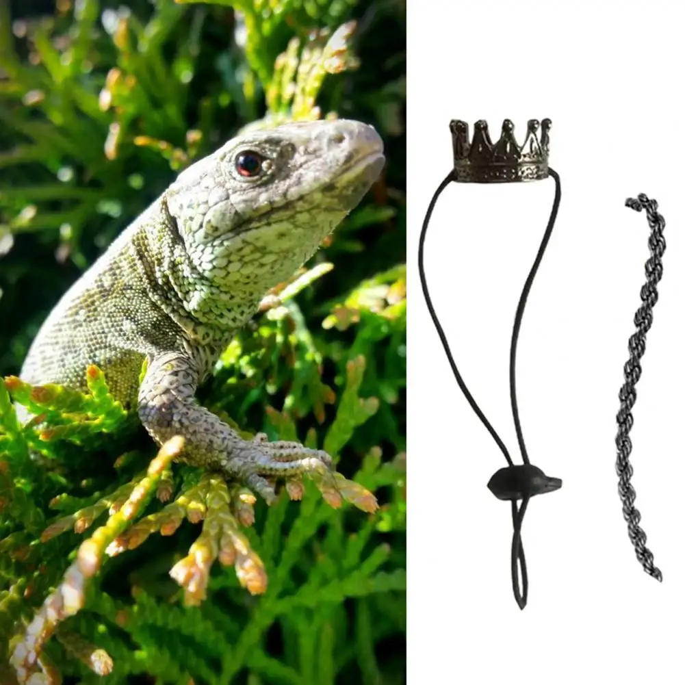 Practical Festive Iguana Amphibians Small Animals Necklace Comfortable Eye-catching Crawling Pet Necklace for Festival