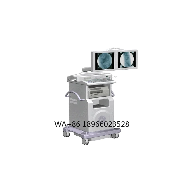 Vétérinaire Mobile C-Arm Tingfor Combined Surgery Partner in veterinary Care