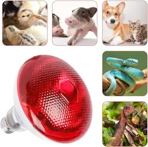 10 최고의 판매 램프 적외선 - №2