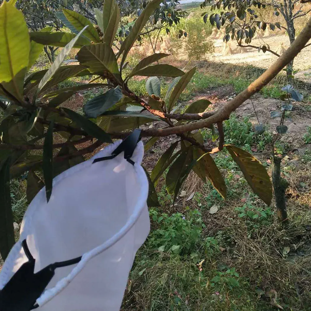 

High Branch Pruner Fruit Harvester Basket Detachable Garden Tool For Apple Picker Portable Fruit Picking Equipment