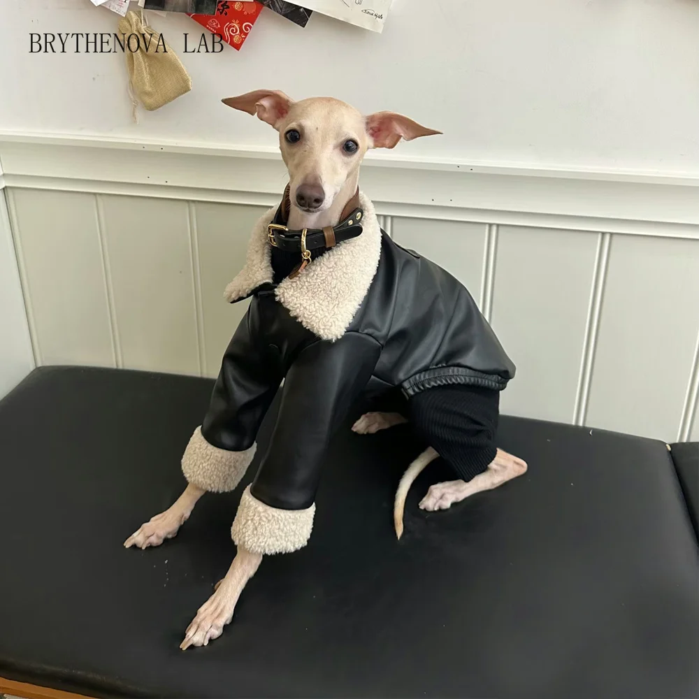 Winter Leather Jacket with Fur Collar for Italian Greyhound Windproof Waterproof Thick Warm Coat for Whippet Bedlington