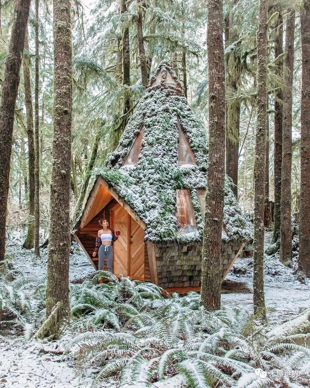 

80KG RC 1/5 Waterproof High Torque 80Kg 8.4V Metal Gear Digital For Redcat HPI Baja 5B SS