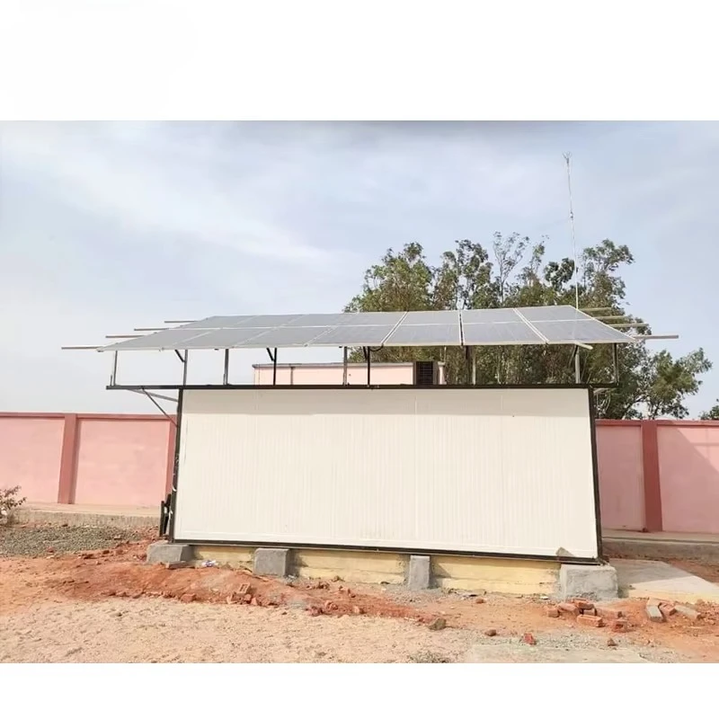 Customized Solar Powered Container Cold Rooms Freezer Room Air-Cooled Cold Storage for Meat