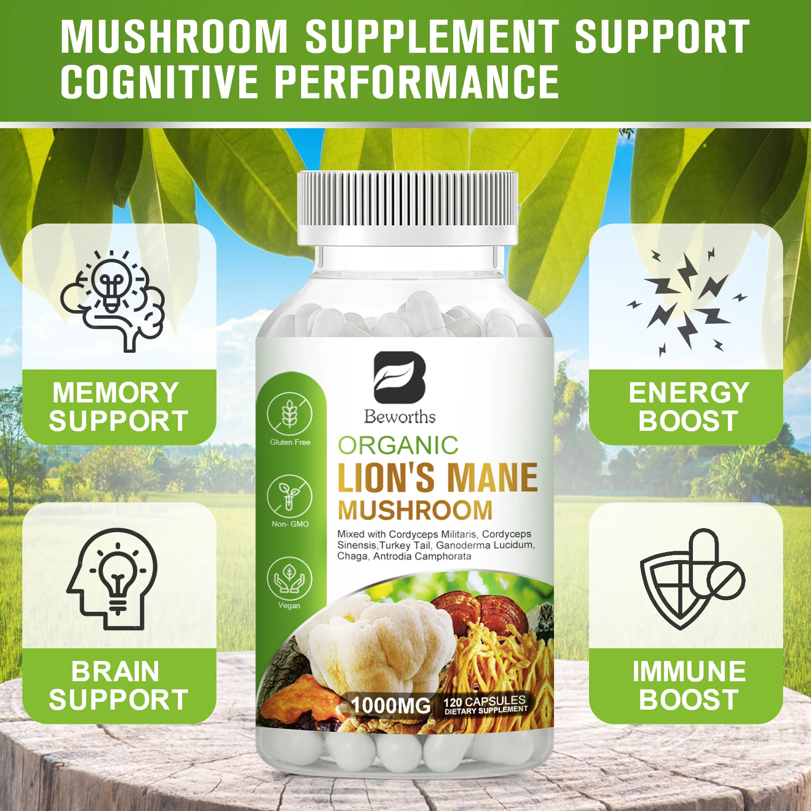 Minch High Strength Mushroom Supplement - Lion\'s Mane, Cordyceps, Reishi Memory and Focus Brain Support