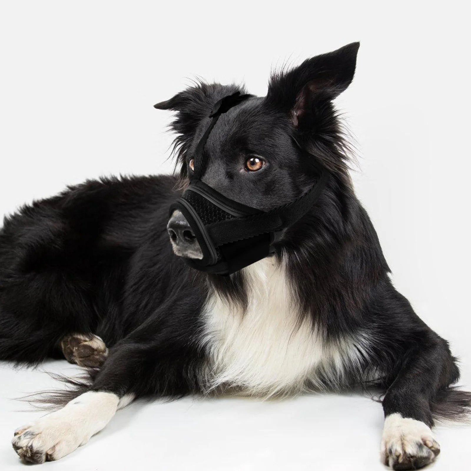 

Soft Mesh Small Adjustable Strap Bite Barking Chew Proof Breathable Pet Mouth Cover Puppy Home Use Black Dogs For Small Dogs