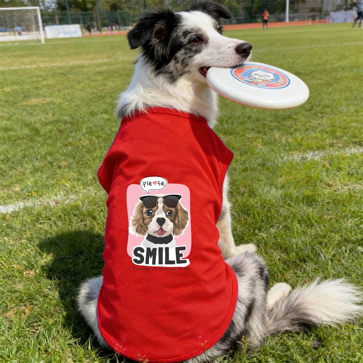1pc  “Please Smile” Cartoon Printed Cat and Dog T-shirt，Soft