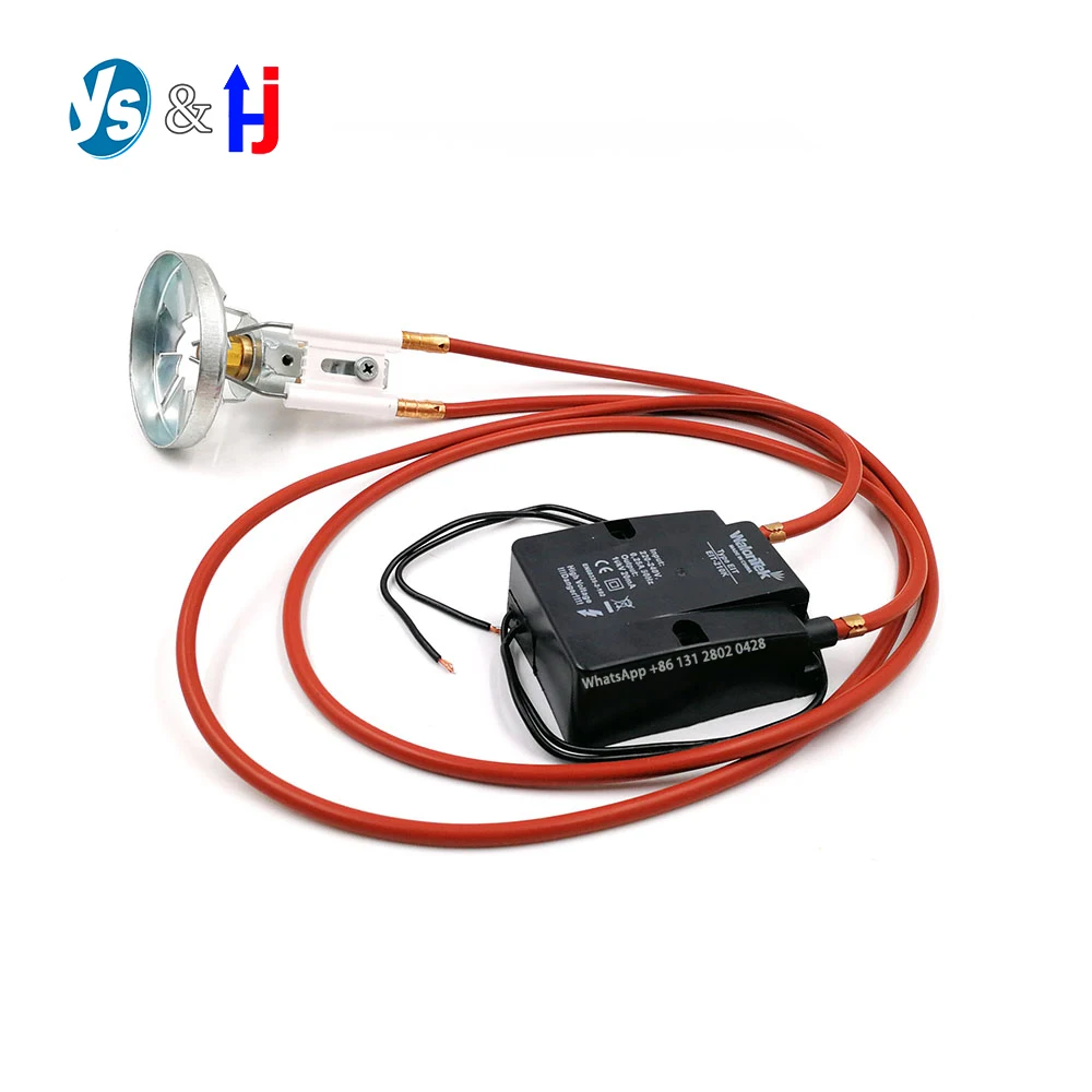 

High Voltage Pulse Igniter, Waste Oil Nozzle, Mini Burner Device, Ignition Boiler Ignitor