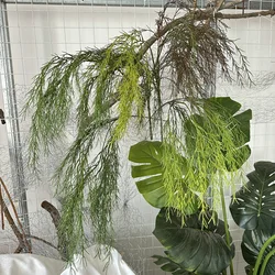 Long Branch Willow Sprout Simulation Plant, Soft Glue, Indoor Hanging Green Plant, Ceiling Decoration, 1 Pc, 2 Pcs, 5Pcs, 117cm