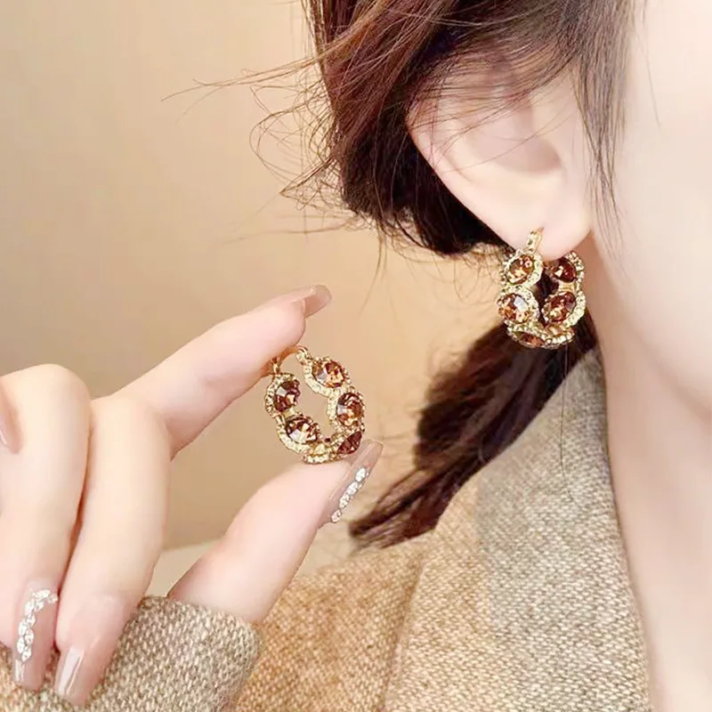 

New Fashion Light Luxury Exquisite Hoop Earrings Vintage Ear Buckles Fashion Temperament Trendy Ear Jewelry for Women