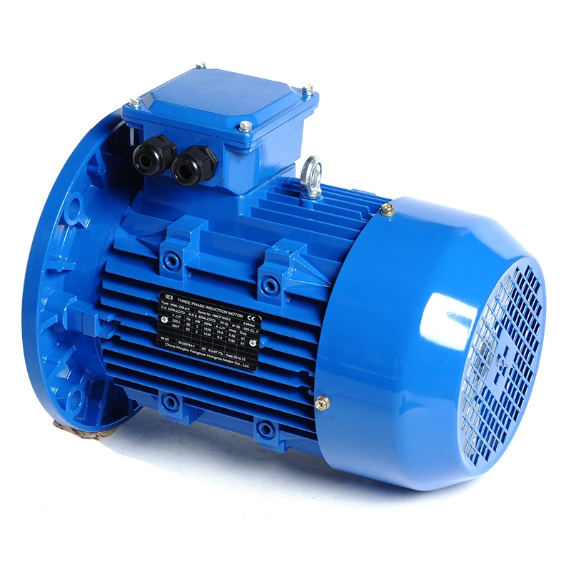 0.85kw 1.1kw Three-Phase Variable Speed AC Induction Asynchronous Motor 50/60Hz Frequency IP54 Enclosed Protection 100% Copper