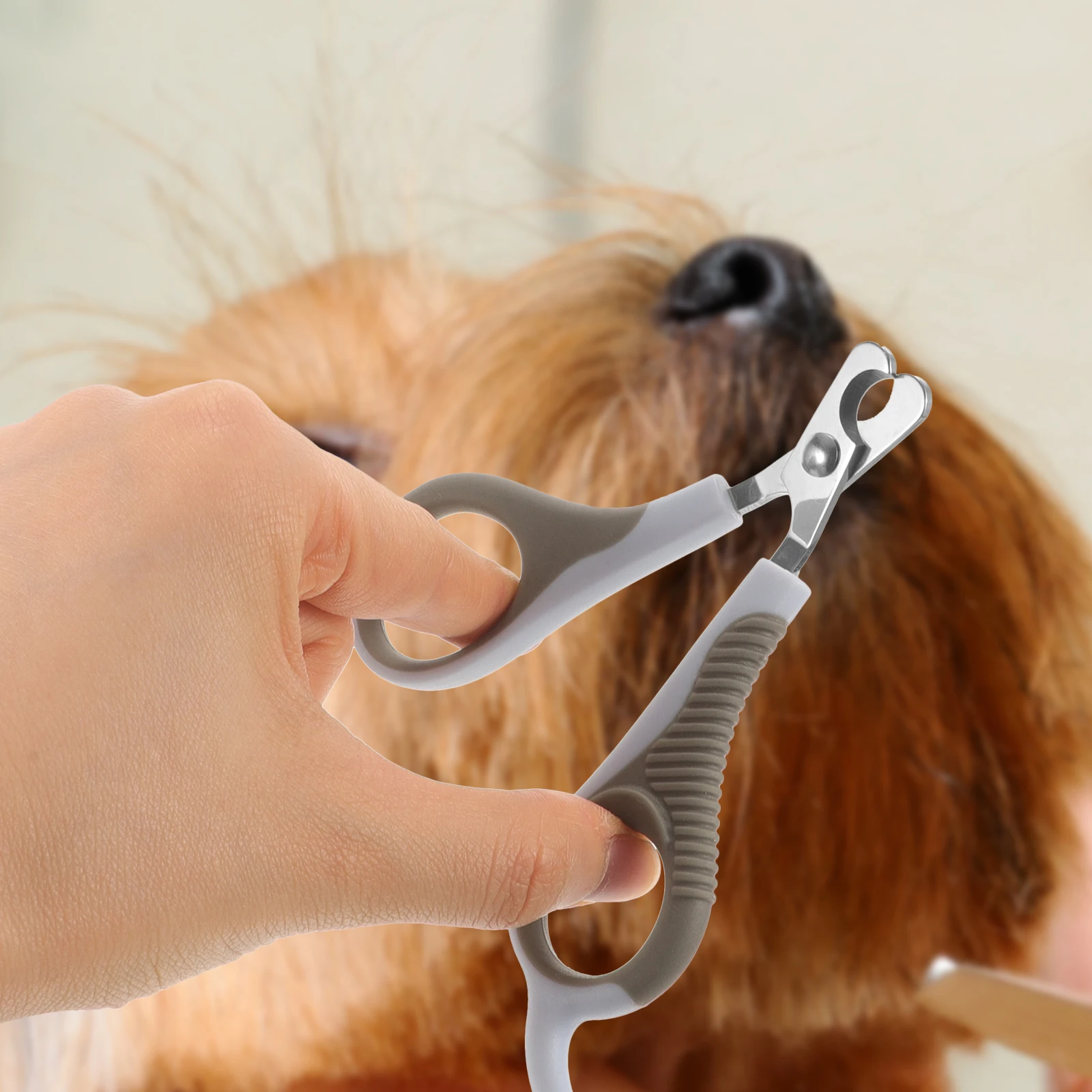 

Pet Nail Scissors Kitten Accessories Claw Tool Dog Care Clipper Clippers Cat Supplies