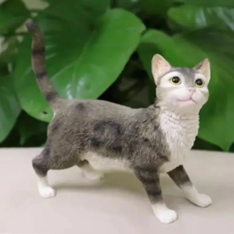 Model kota amerykańskiego Wirehair w skali 1/6, symulacja, do ekspozycji figurek żołnierzy, kolekcja, ozdoba, prezent, rękodzieło, zabawka dla zwierząt.